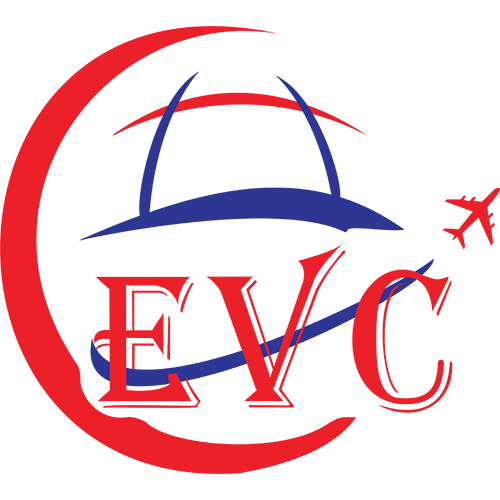 Expat Visa Consultant